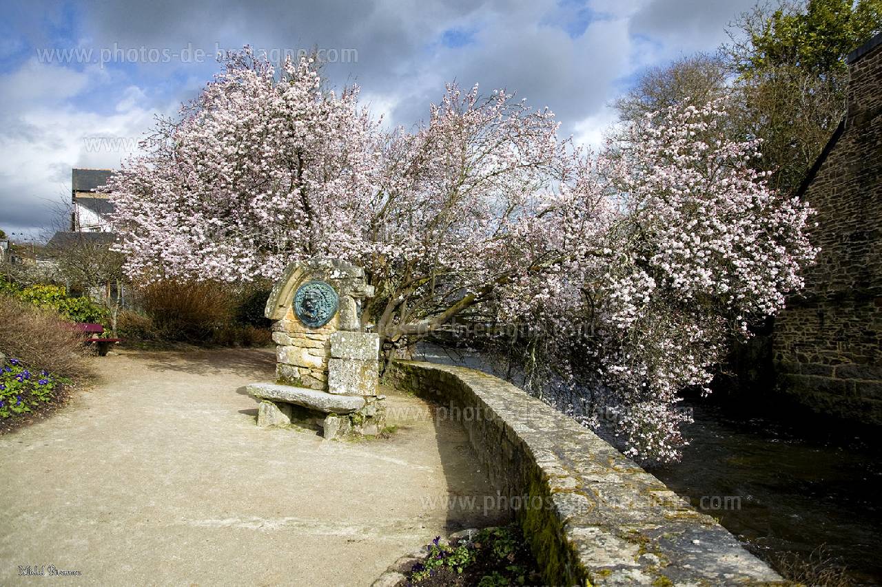 ../pages/promenade-xavier-grall-pont-aven.html