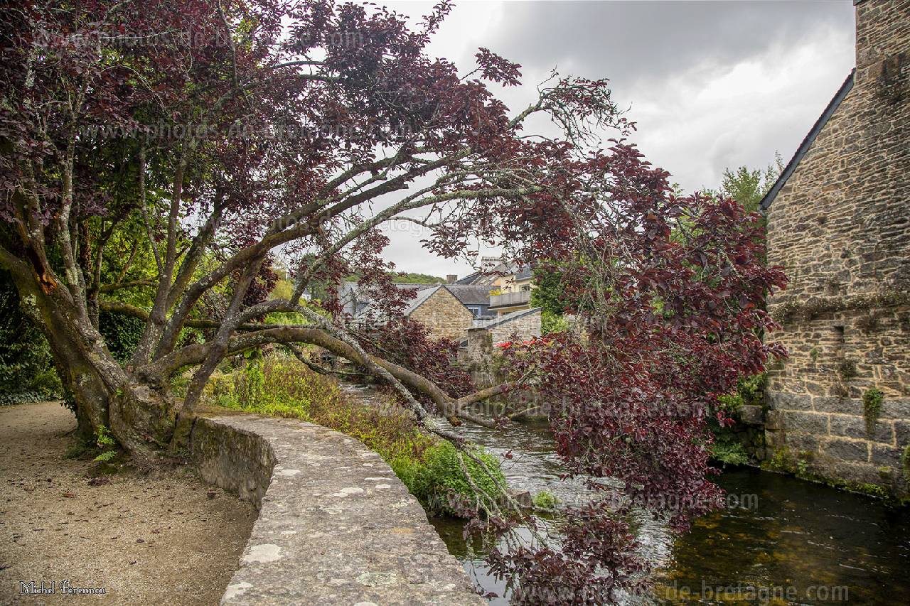 ../pages/pont-aven-promenade-xavier-grall.html